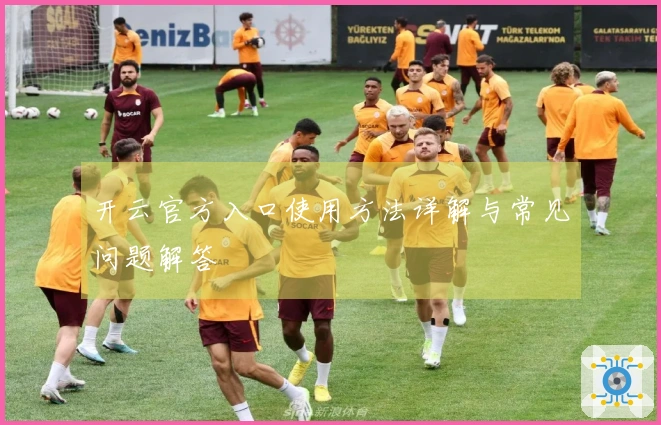 开云官方入口使用方法详解与常见问题解答