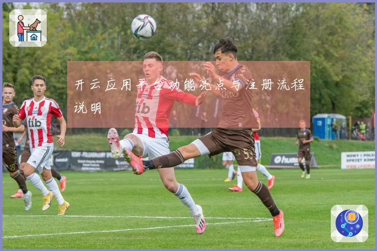 开云应用平台功能亮点与注册流程说明