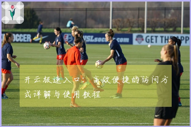开云极速入口:高效便捷的访问方式详解与使用教程
