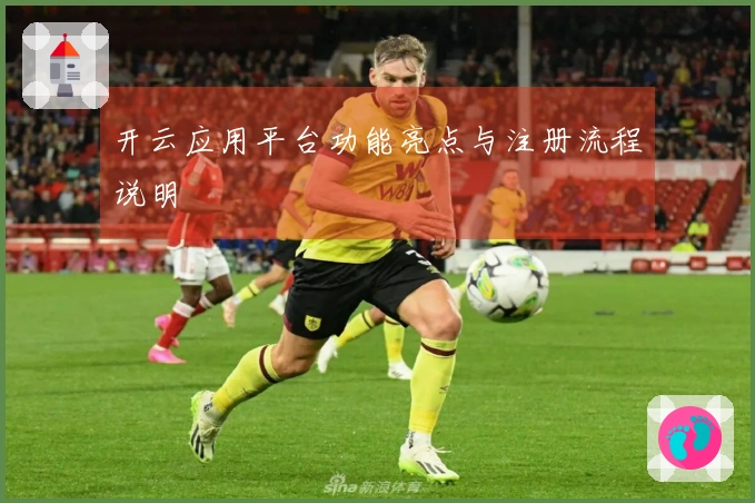 开云应用平台功能亮点与注册流程说明